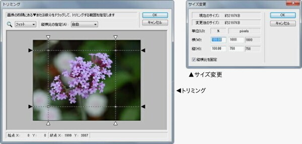 products-photolife-pt3-2-4_2