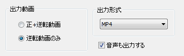 音声も出力