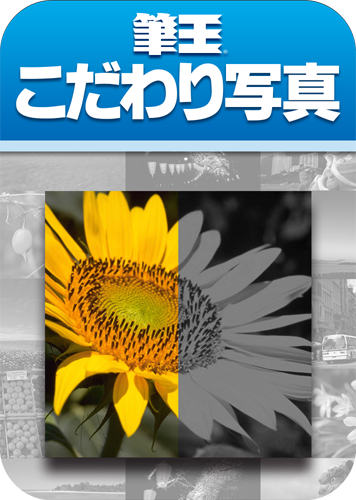 筆王® こだわり写真のパッケージ画像