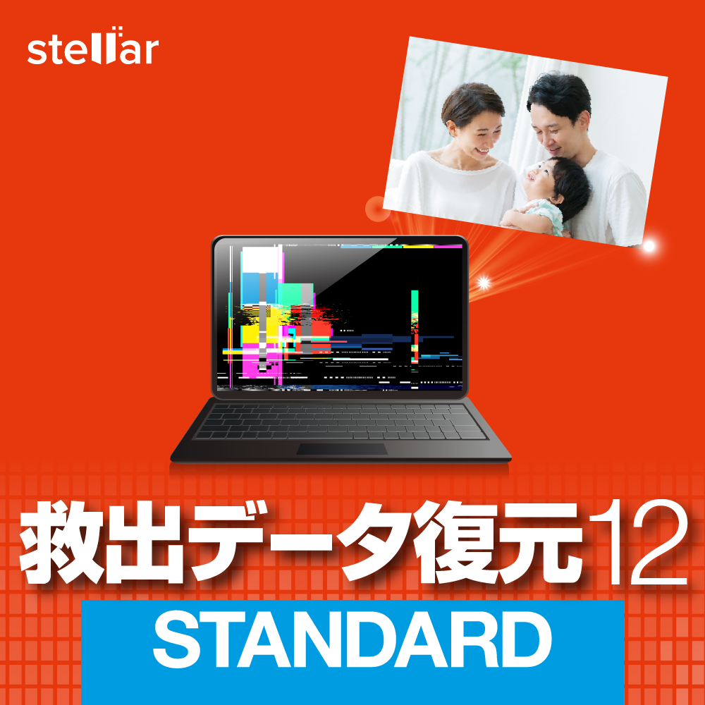 救出データ復元 12 STANDARD画像
