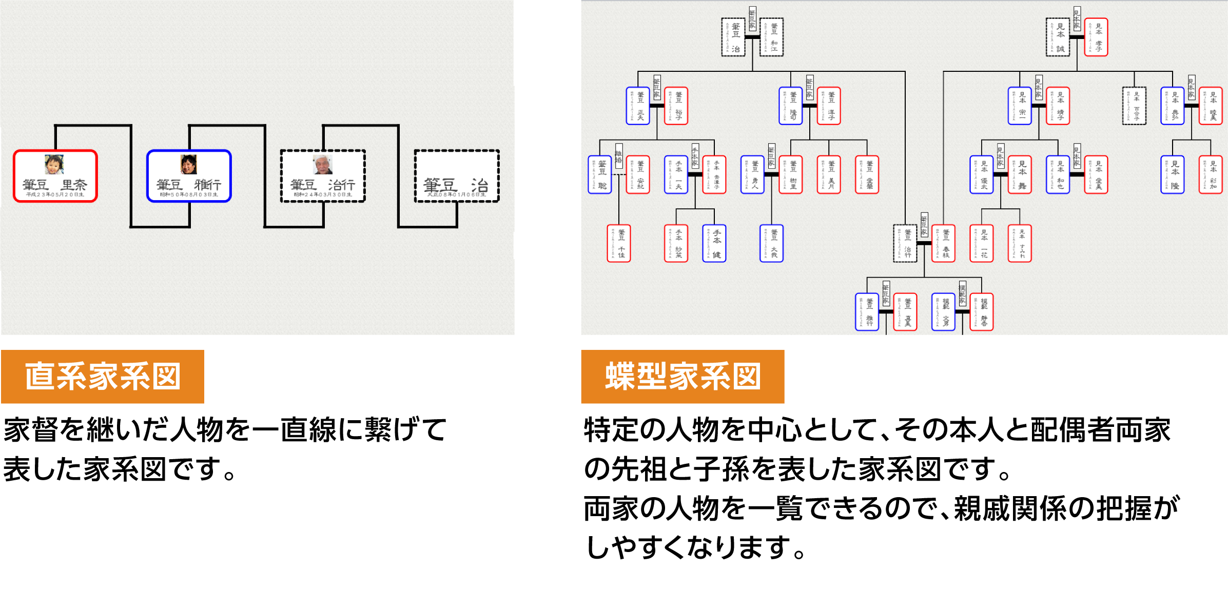 家系図を自分で作成 つくれる家系図3 筆まめ ソースネクスト