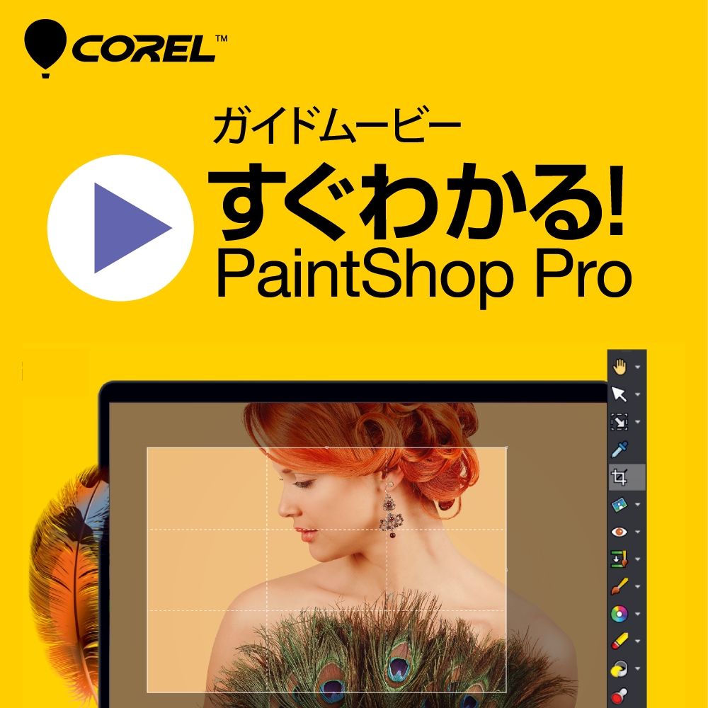 すぐわかる！「PaintShop Pro」