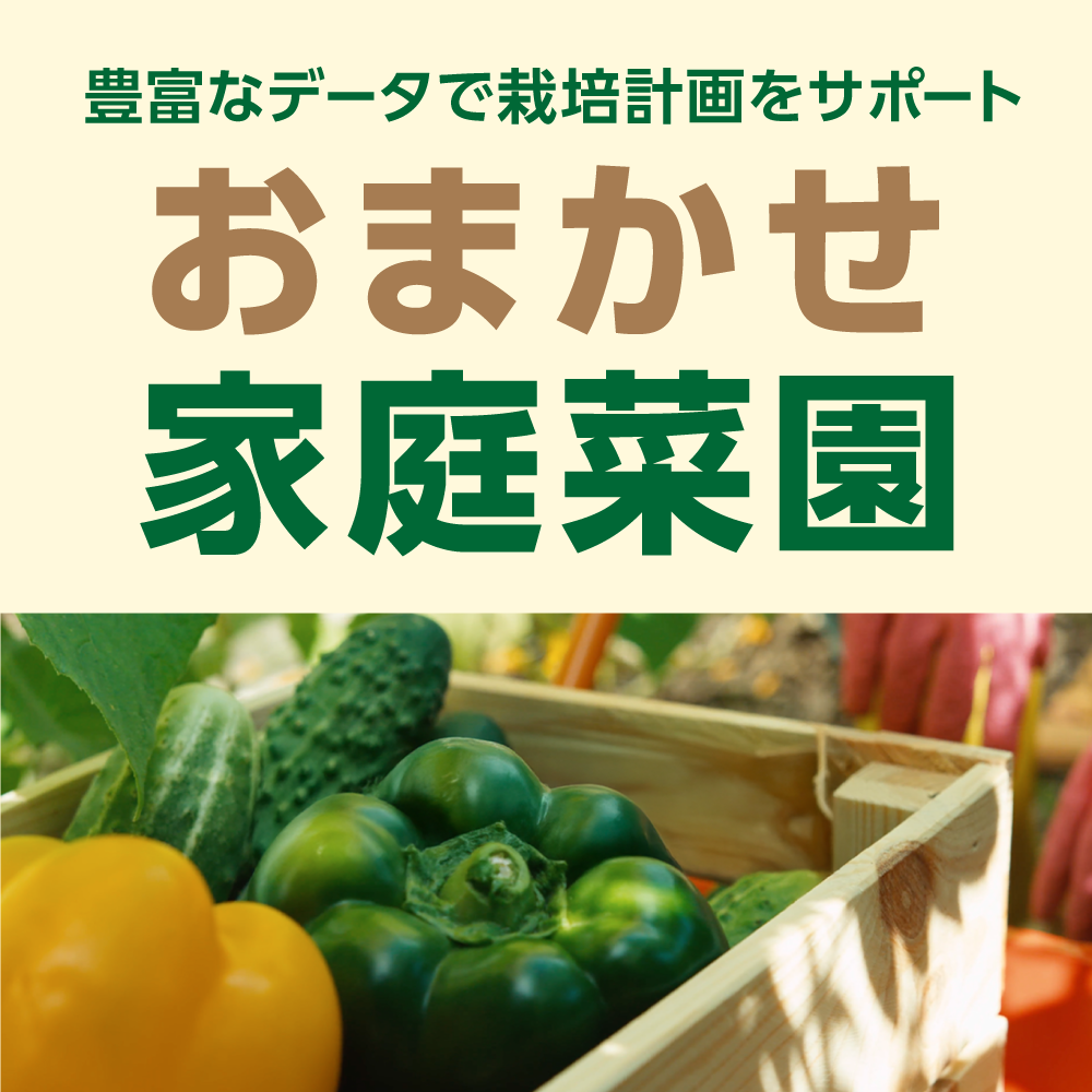 栽培計画をサポート「おまかせ家庭菜園」｜ソースネクスト