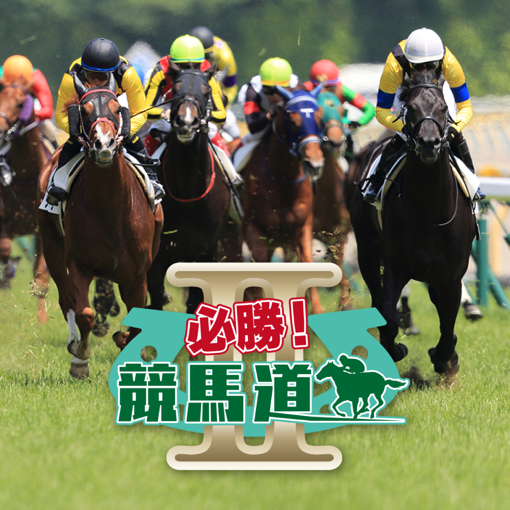 【新品】競馬道 2010 競馬予想ソフト 競馬情報サービス「必勝！競馬道 2（1年）」｜ソースネクスト
