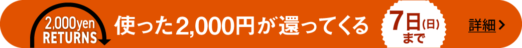 3000円リターンズ