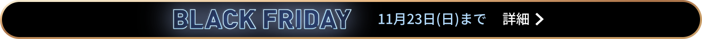 BLACK FRIDAY SALE