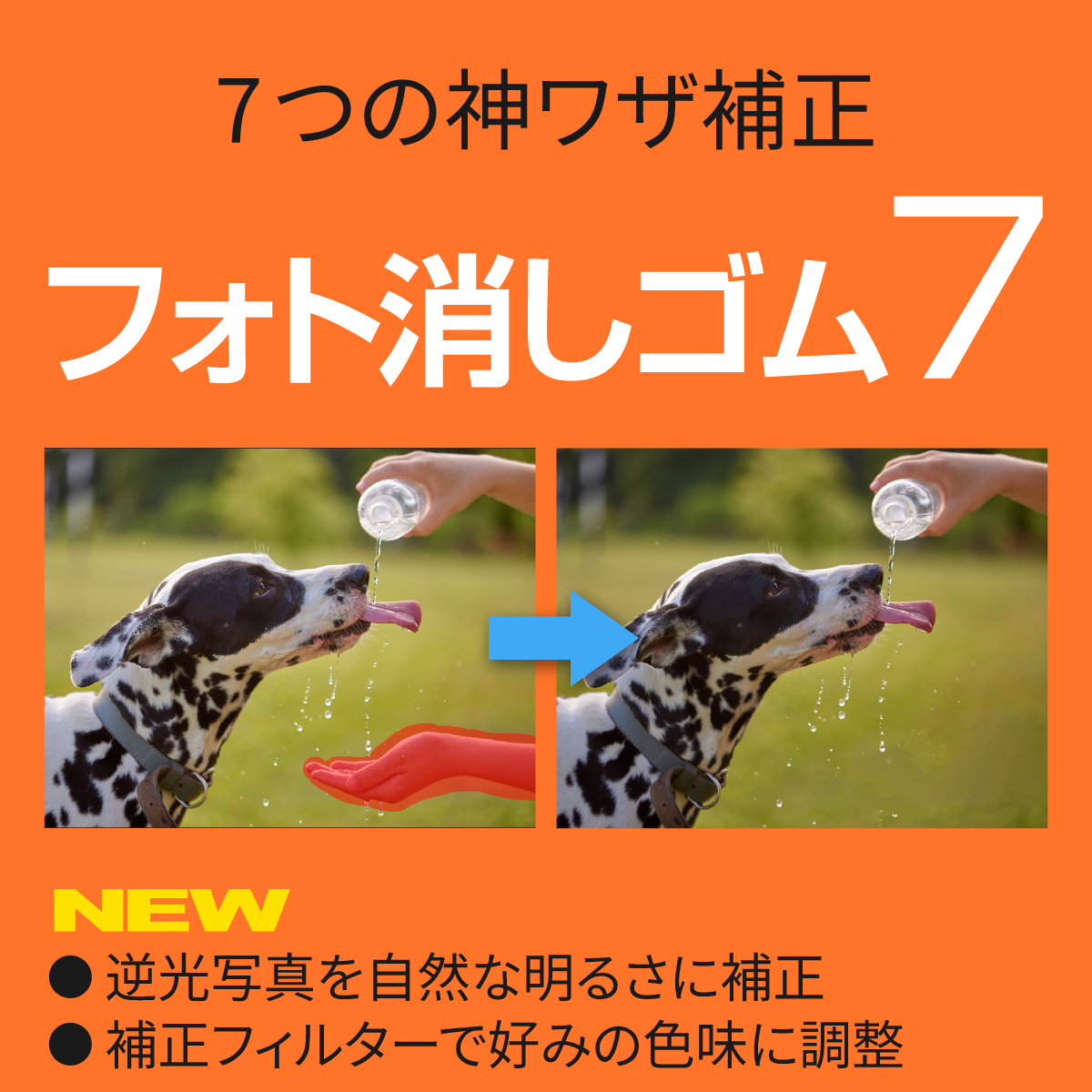 返り読み」の習慣をなくす英語教材 「スーパーエルマー」｜ソースネクスト