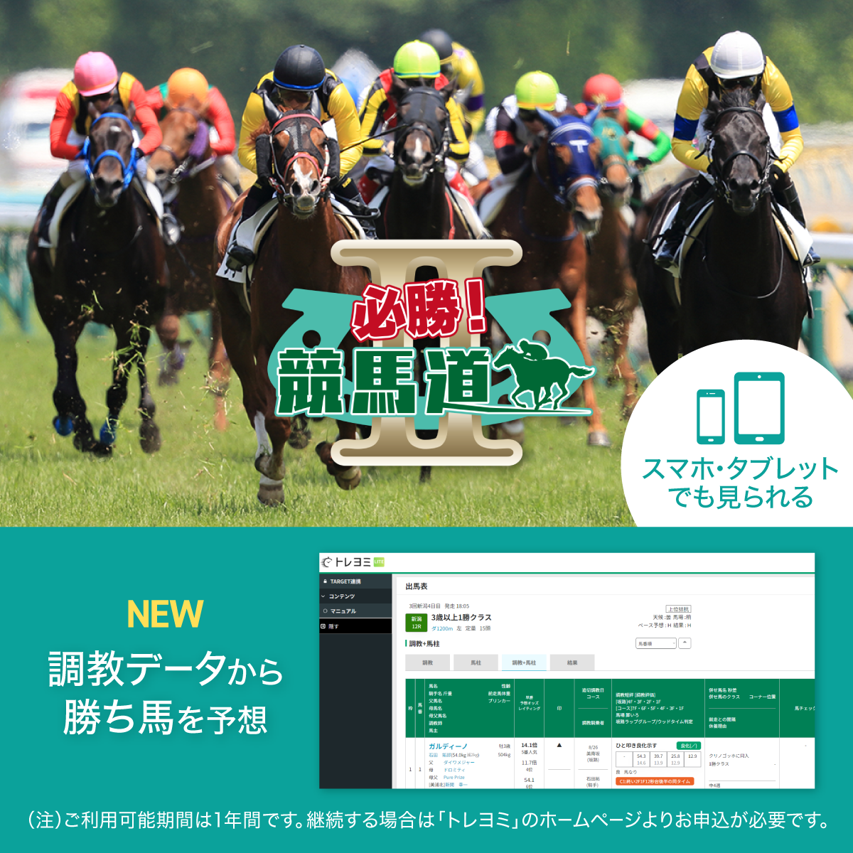 競馬情報サービス「必勝！競馬道 2（1年）」｜ソースネクスト